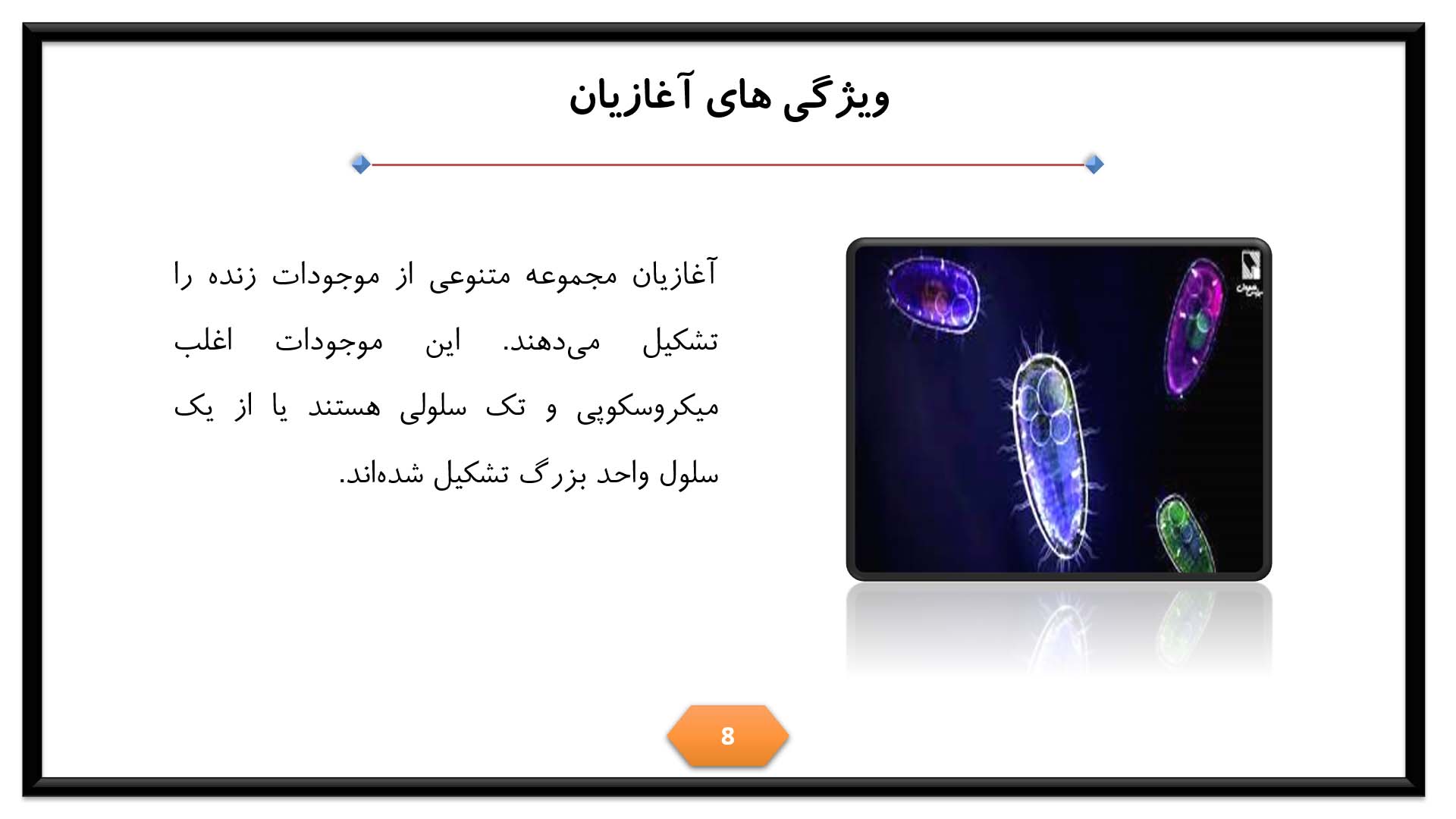 پاورپوینت در مورد آغازیان 